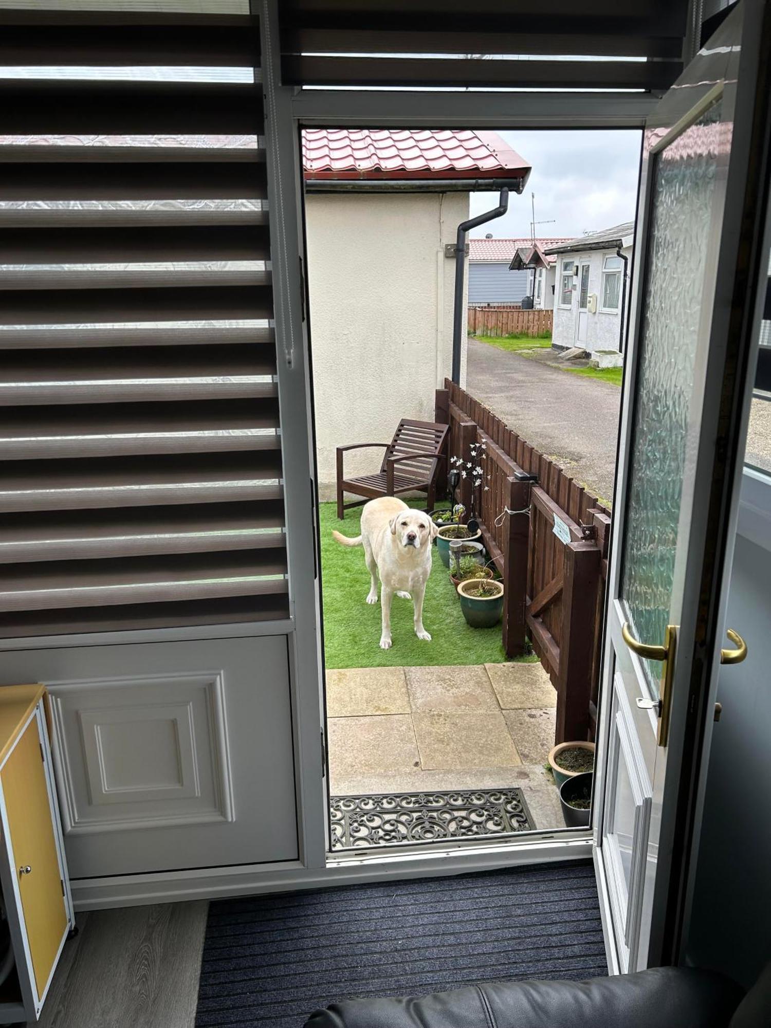 Cozy Seaside Chalet In Bridlington Ngoại thất bức ảnh